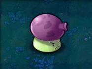 植物大战僵尸最新版2025破解版