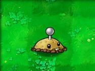 植物大战僵尸最新版2025破解版