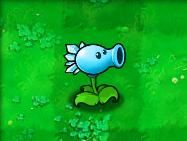 植物大战僵尸最新版2025破解版