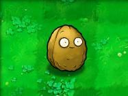 植物大战僵尸最新版2025破解版