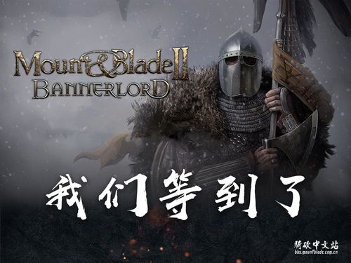 建议：若设备性能有限，建议关闭“动态阴影”并降低植被密度，以平衡画质与流畅度。  