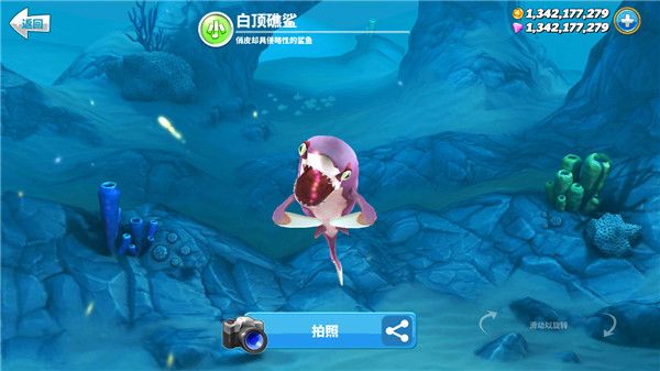 饥饿鲨世界国际服正版(Hungry Shark World)图4
